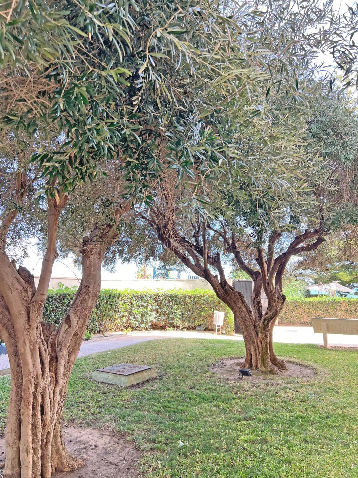 坎佩略Oasis Frente Al Mar. Parking Gratis公寓 外观 照片