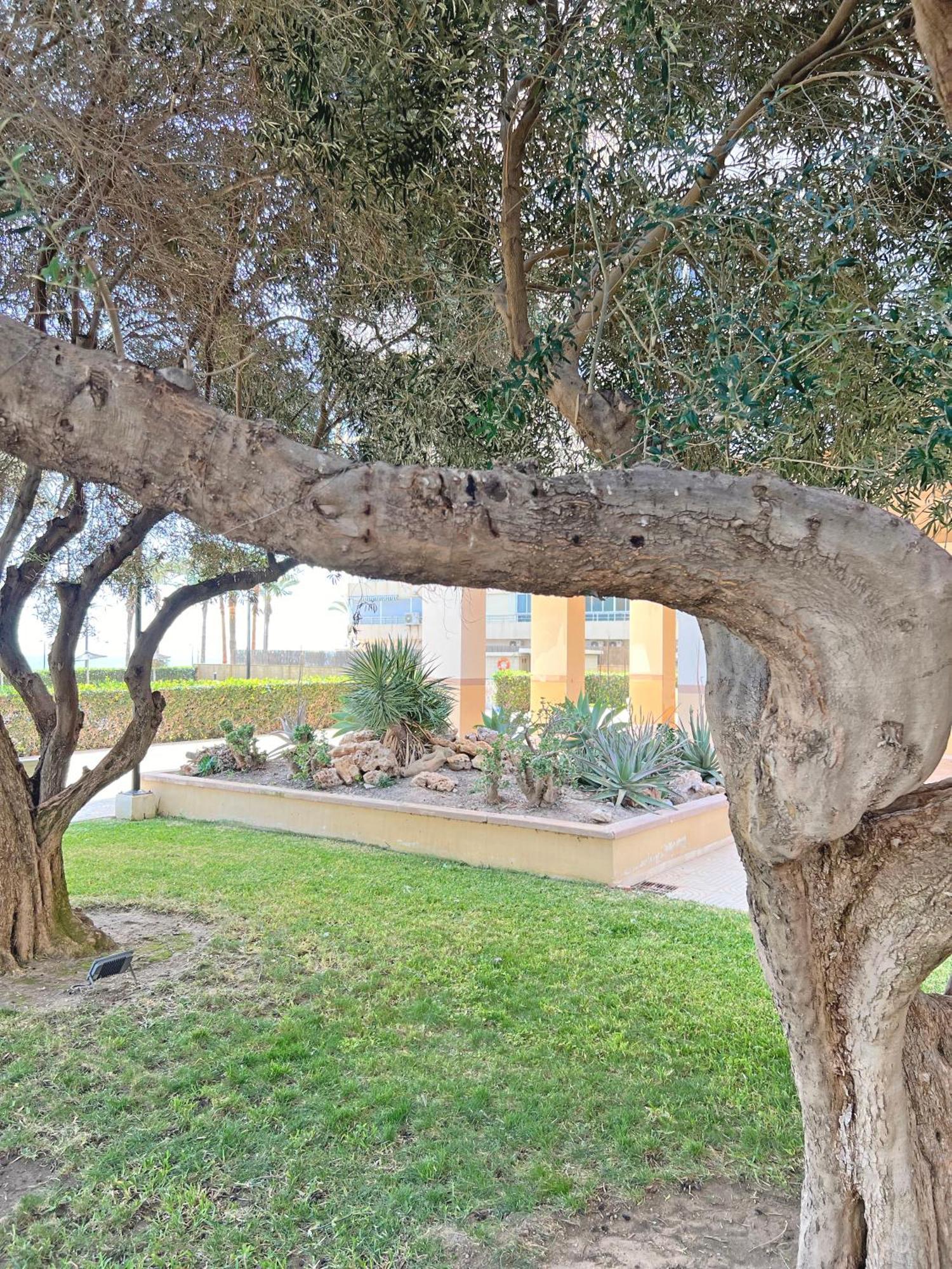 坎佩略Oasis Frente Al Mar. Parking Gratis公寓 外观 照片